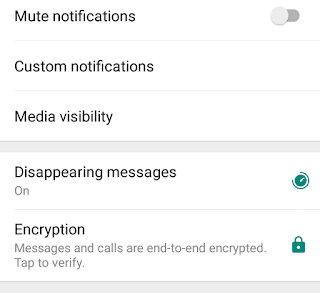 Whatsapp disappearing message advantage and disadvantage