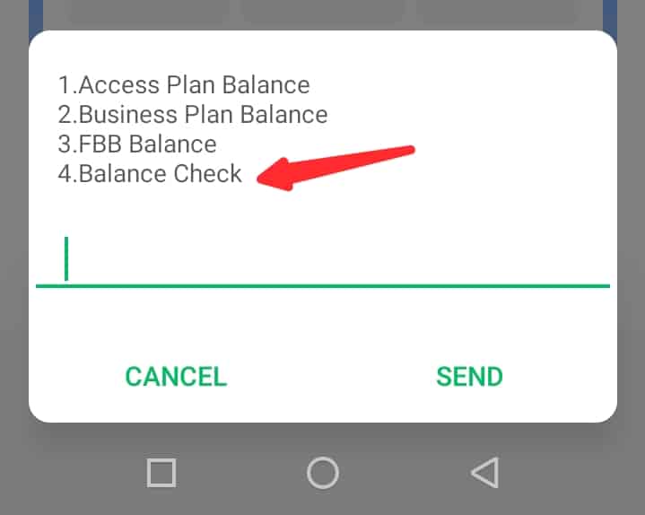 Choose option 4 to see data balance